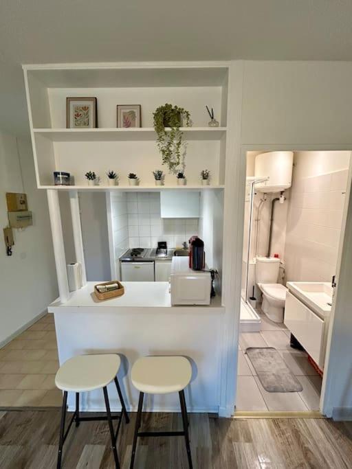 Apartamento Le Douillet, Proche Gare Et Metro Toulouse Exterior foto
